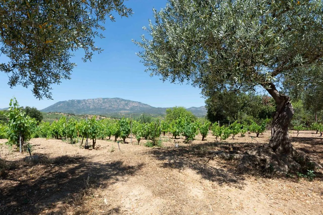 Holiday home Villa L'Oliveto Oliena Italy