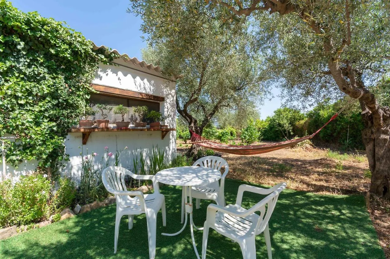 Villa L'Oliveto Oliena 0*,