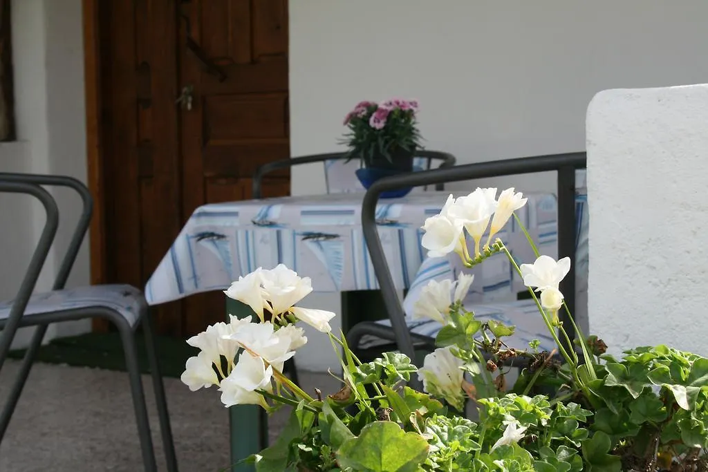 Villa L'Oliveto Oliena Holiday home