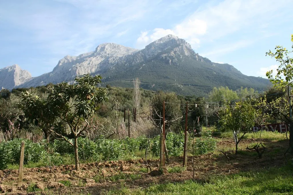 Villa L'Oliveto Oliena 0*,  Italy