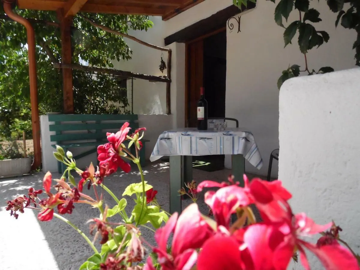 Villa L'Oliveto Oliena Holiday home