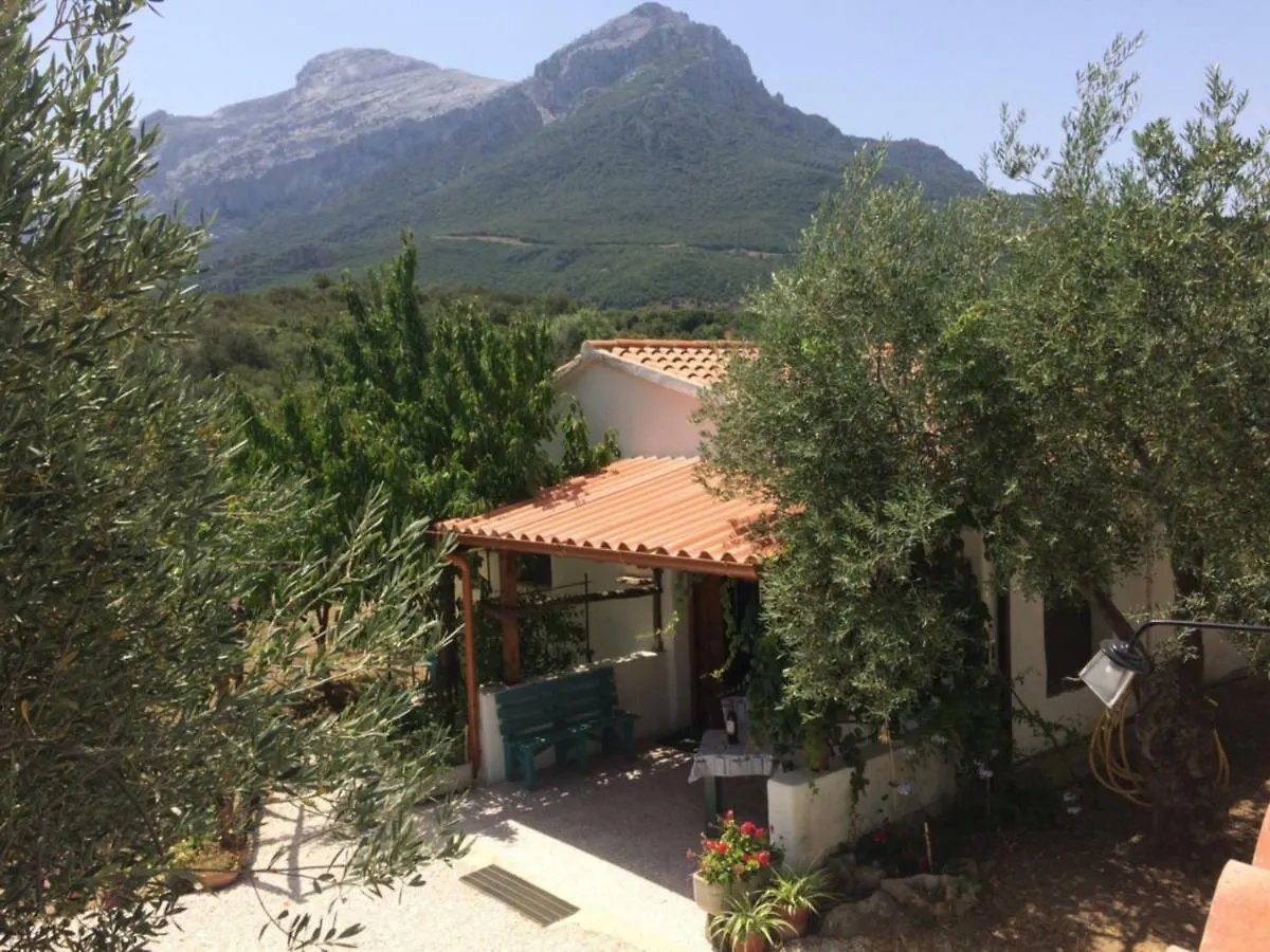 Casa vacanze Villa L'Oliveto Oliena