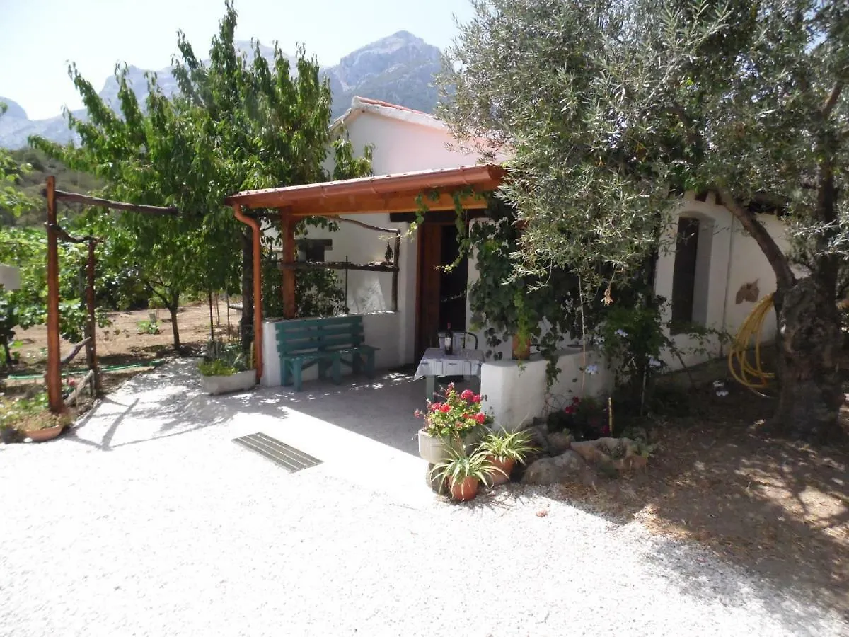 Villa L'Oliveto Oliena Italia