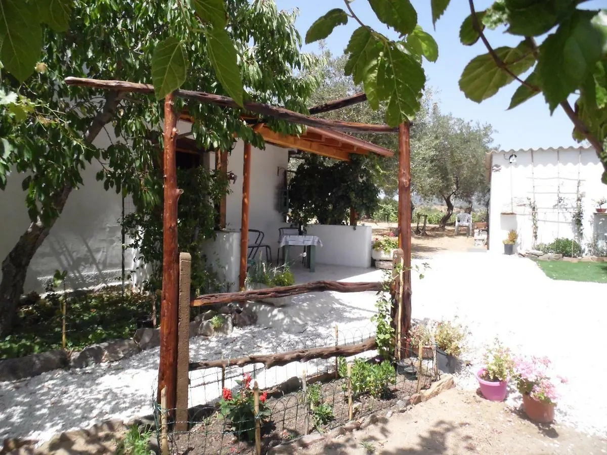 Holiday home Villa L'Oliveto Oliena Italy